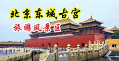 男机戳女洞视频中国北京-东城古宫旅游风景区